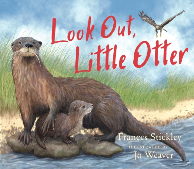 Look Out, Little Otter (ISBN: 9781780279800)