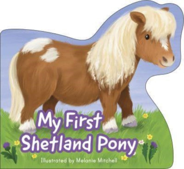 My First Shetland Pony (ISBN: 9781782508915)