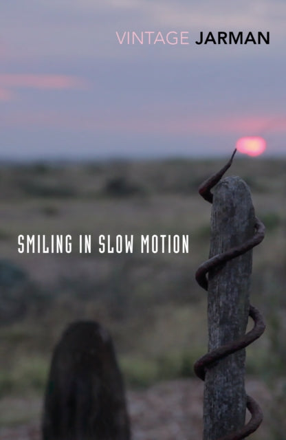 Smiling in Slow Motion : Journals, 1991–1994 (ISBN: 9781784875169)