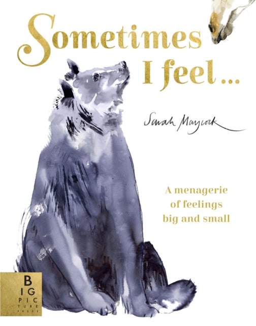 Sometimes I Feel... : A Menagerie of Feelings Big and Small (ISBN: 9781787417267)