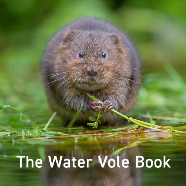 Nature Book Series: The Water Vole Book (ISBN: 9781802581676)