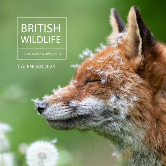 British Wildlife Photography Awards Calendar 2024 (ISBN: 9781802585537)