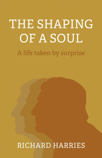 Shaping of a Soul, The : A life taken by surprise (ISBN: 9781803411620)