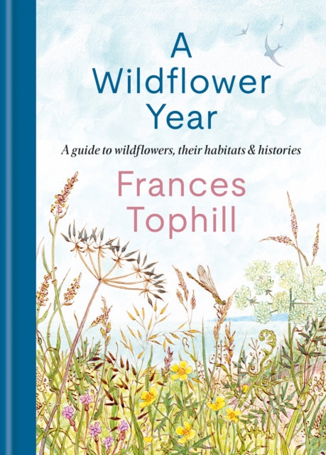 A Wildflower Year : A Guide to Wildflowers, their Habitats & Histories (ISBN: 9781804192788)