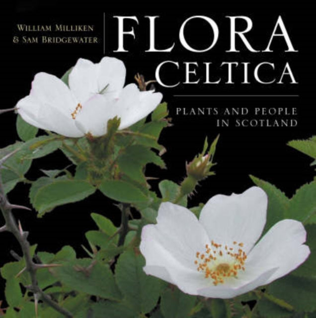 Flora Celtica : Plants and People in Scotland (ISBN: 9781841583037)