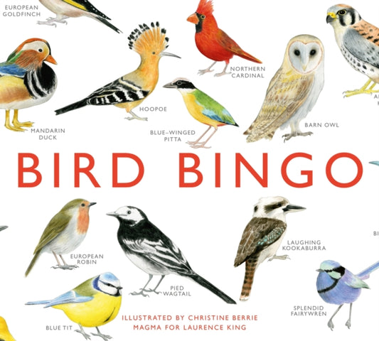 Bird Bingo (ISBN: 9781856699174)