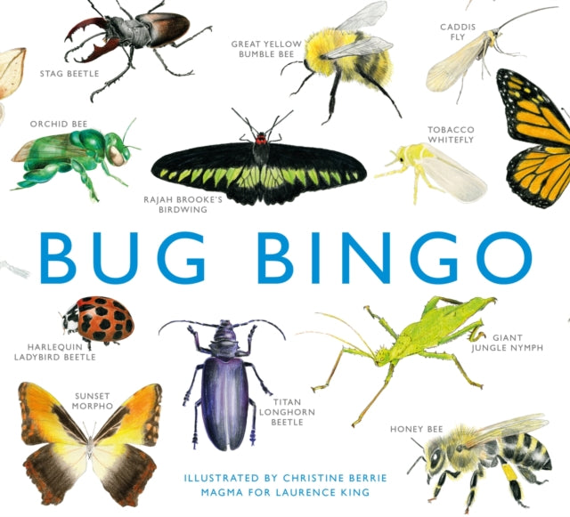 Bug Bingo (ISBN: 9781856699402)