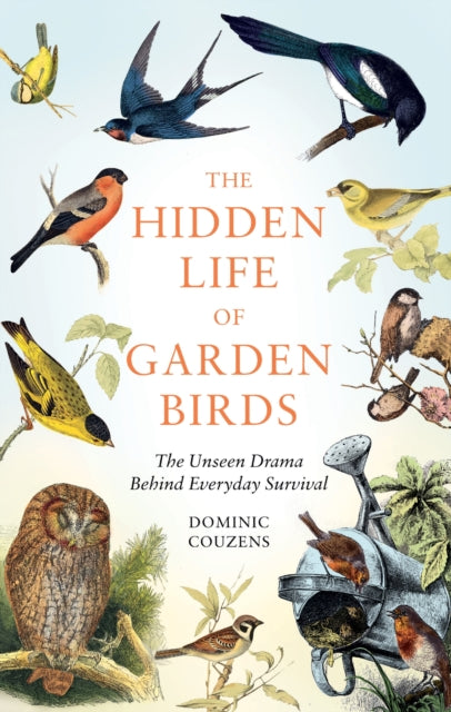 The Hidden Life of Garden Birds : The unseen drama behind everyday survival (ISBN: 9781856755139)