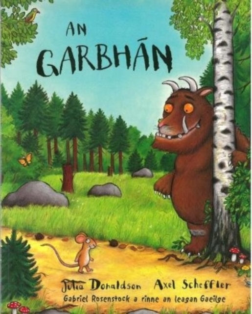 An Garbhan (ISBN: 9781857913965)