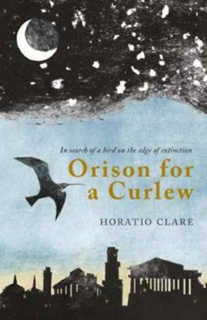 Orison for a Curlew : In Search of a Bird on the Edge of Extinction (ISBN: 9781908213570)