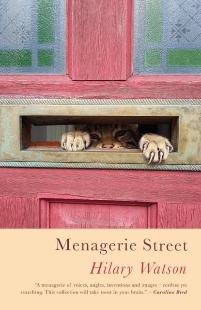 Menagerie Street (ISBN: 9781911752134)