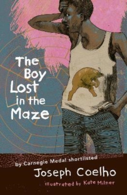 The Boy Lost in the Maze (ISBN: 9781913074333)